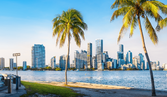 Miami Black Friday Turístico